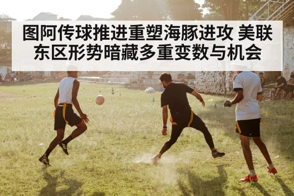 图阿传球推进重塑海豚进攻 美联东区形势暗藏多重变数与机会